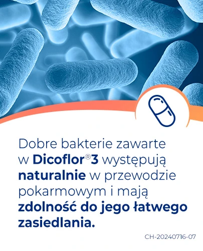 Dicoflor 3 50 kapsułek